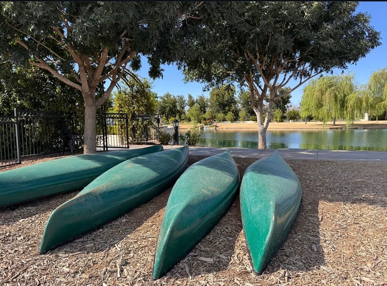 Four green canoes drawn up under the trees beside the lake