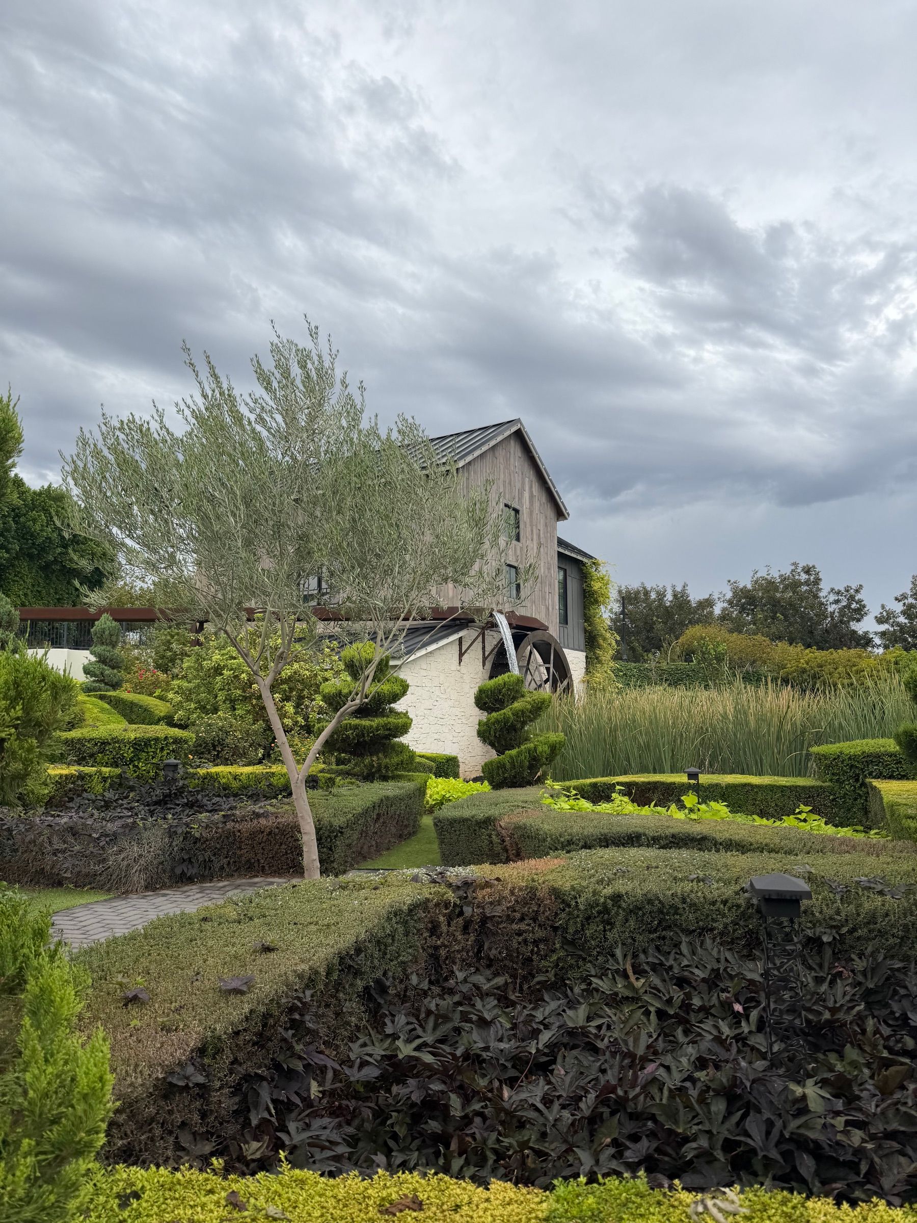 The millhouse and waterwheel seen past an olive tree, a topiary-lined garden path leading up to it