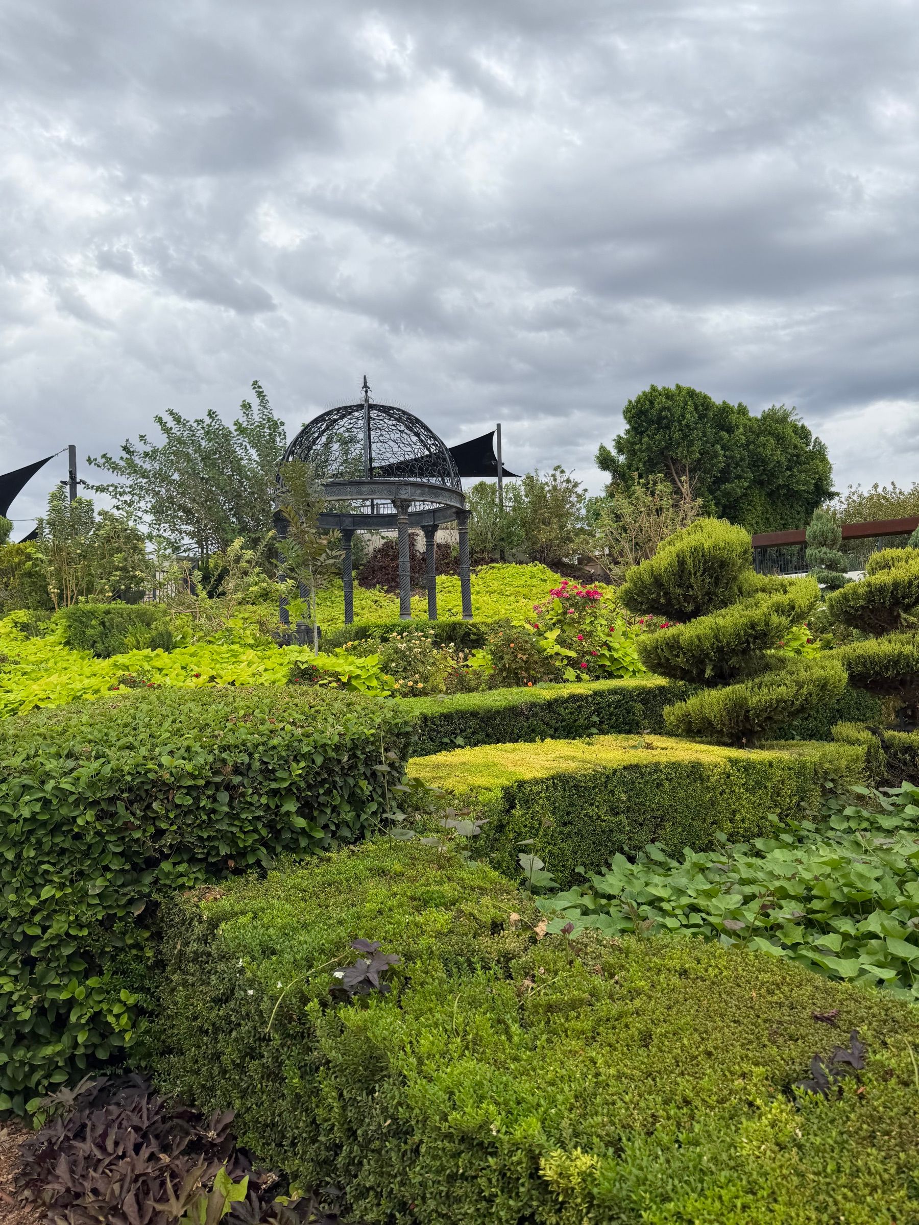 A wrought iron gazebo dome at the centre of a clipped topiary and rose garden