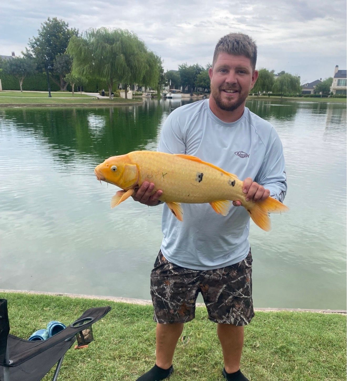 An angler holding a large golden koi at the lake shore before releasing it