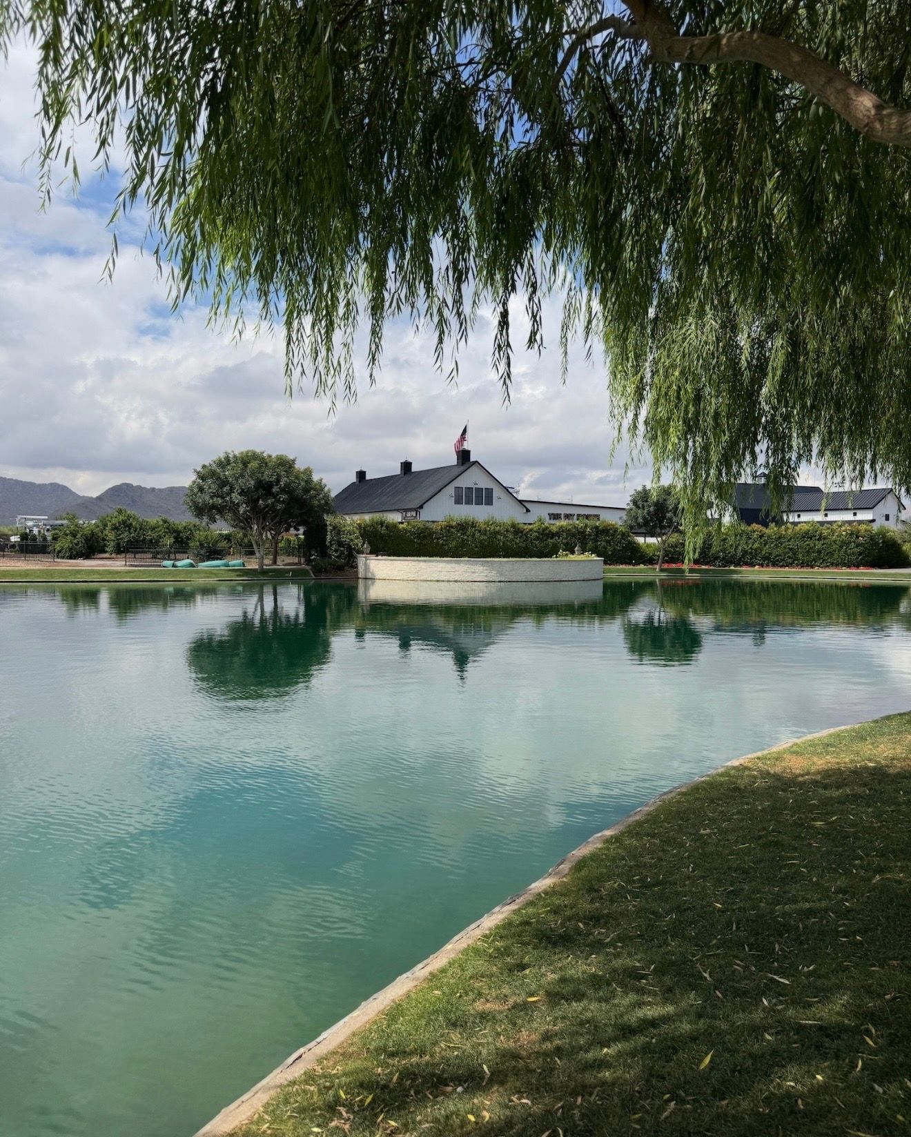 The lake under a willow, with the buildings on the far bank