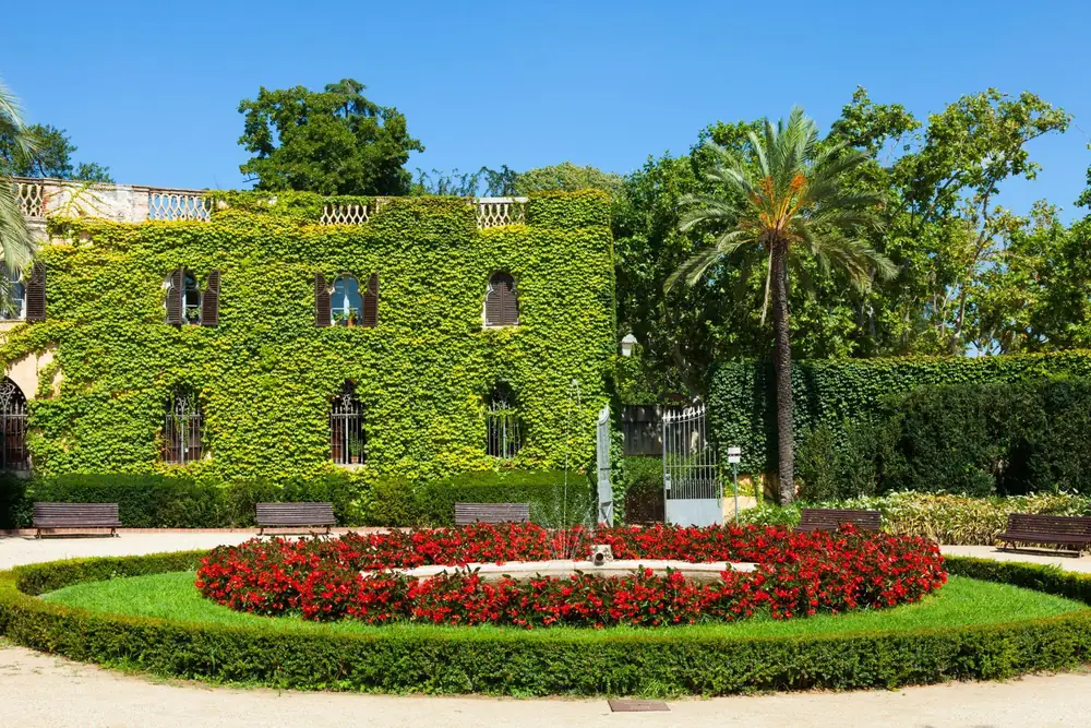 A formal garden bed of red flowers around a low fountain, in front of an ivy covered building